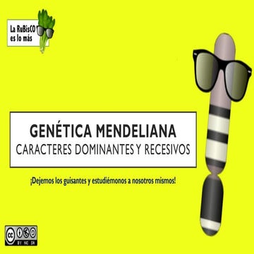 Genética mendeliana humana: caracteres dominantes y recesivos. Actividad para...