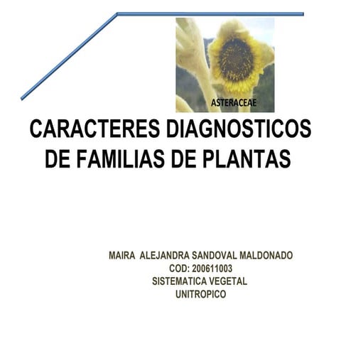 Caracteres Diagnosticos De Familias De Plantas