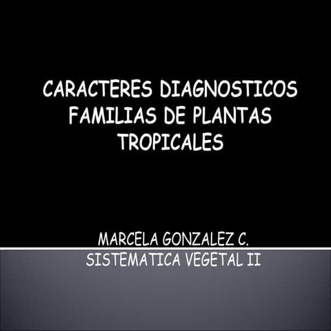 Caracteres Diagnosticos Familias De Plantas Tropicales