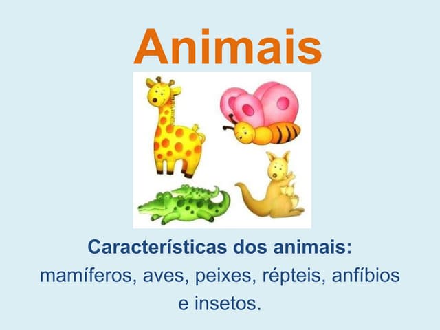 Caracteristicas dos animais 3º ano | PPTX