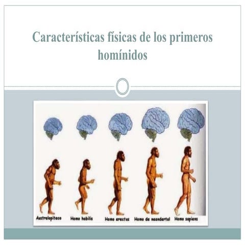 Caracteristicas fisicas de los primeros hominidos