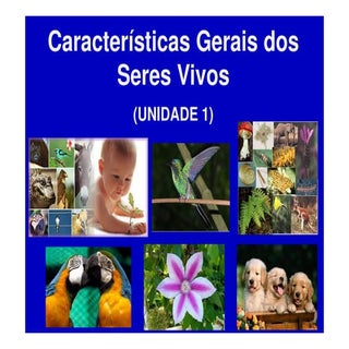 Caracteristicas gerais dos seres vivos