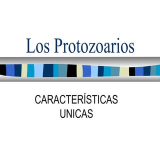 Caracteristicas unicas protozoarios...
