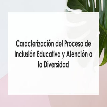 Mapa Conceptual Diversidad e Inclusión en la Educación | PDF