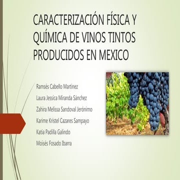 Caracterización física y química de vinos tintos