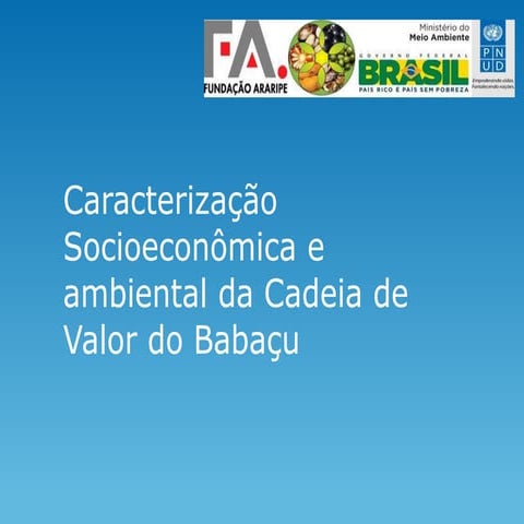 Caracterização socioeconômica e ambiental da cadeia de valor do babaçu