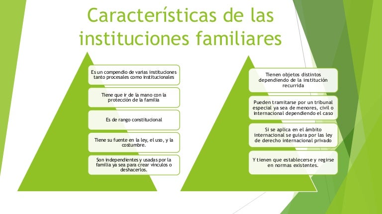 Caracteristicas De La Institucion De La Familia