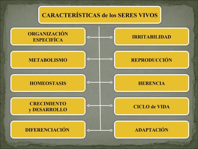 Características de los seres vivos