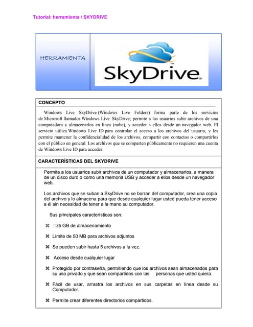 Características del skydrive