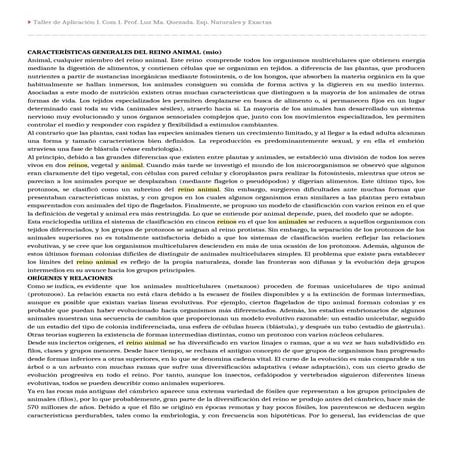 CARACTERÍSTICAS GENERALES DEL REINO ANIMAL.doc