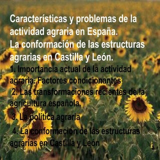 Tema 9. Características y poblemas ...