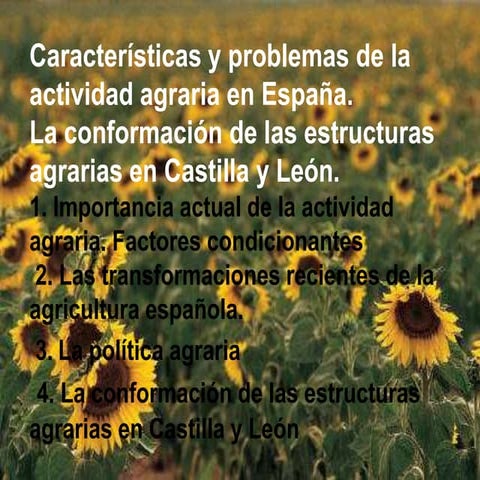 Tema 9. Características y poblemas de la actividad agraria en España. La conf...