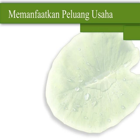 Cara dapatkan peluang usaha1
