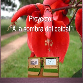 Escuela Nº 122. Las Toscas de Carag...