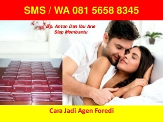 WA 081 5658 8345, Cara Jadi Agen Foredi, Cara Menjadi Agen Foredi
