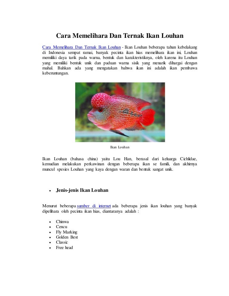 Cara Memelihara Dan Ternak Ikan Louhan