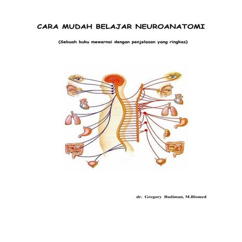 Cara mudah belajar neuroanatomi
