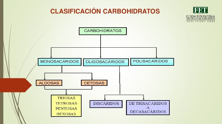 Mapa Conceptual De Los Carbohidratos Y Su Clasificaci - vrogue.co