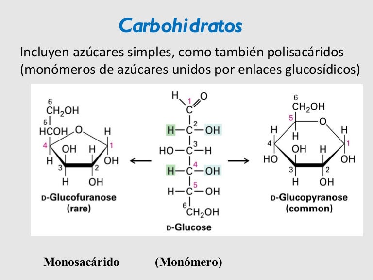 Estructura Quimica De Los Carbohidratos By 012 Estructura Quimica De Los Carbohidratos By 012