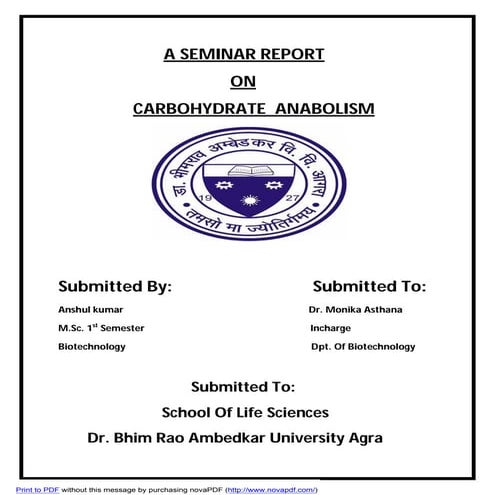 Carbohydrate anabolism | PDF