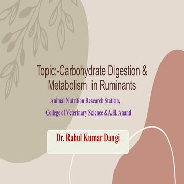 Carbohydrate digestion and metabolism  in Ruminants    Carbohydrate Digestion...