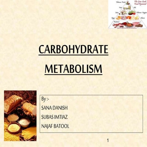 Carbohydrate  metabolism