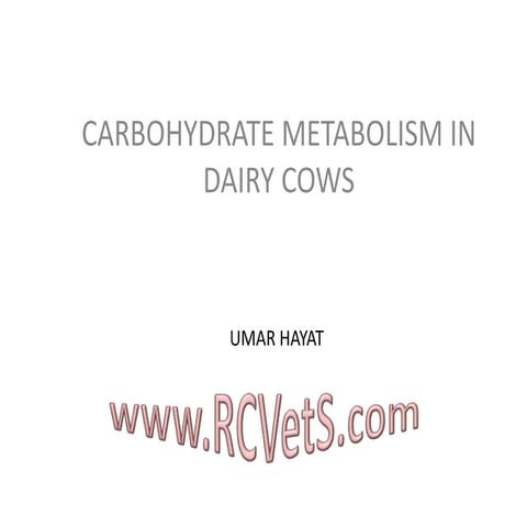 Carbohydrate Metabolism (Animal Nutrition)