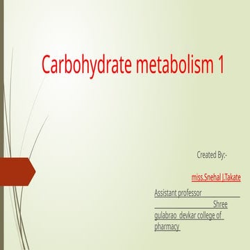 Amino Acid Metabolism B.PHARM Biochemistry | PPTX