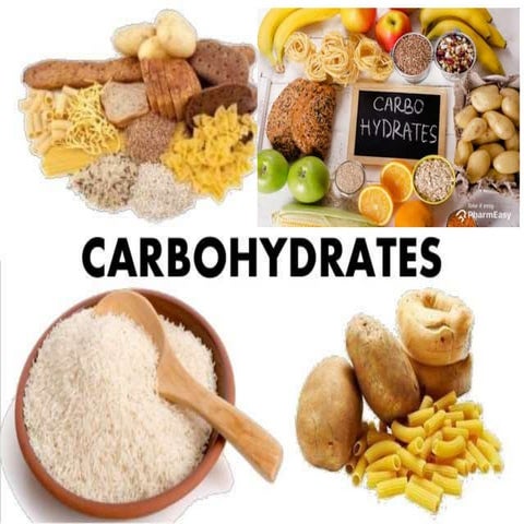 Carbohydrates.pptx