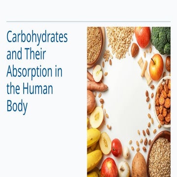 Carbohydrates and Their Absorption in the Human Body -.pptx