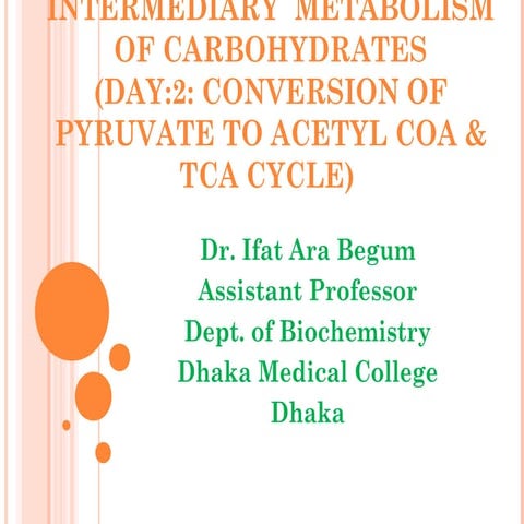 Carbohydrates metabolism, part 2