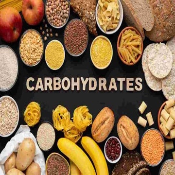 carbohydrates 