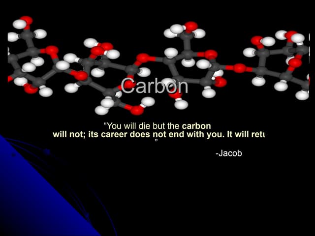 Carbon Food