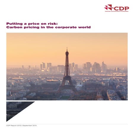 Carbon pricing-in-the-corporate-world