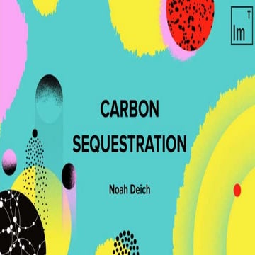 "Carbon Sequestration" by Noah Deich
