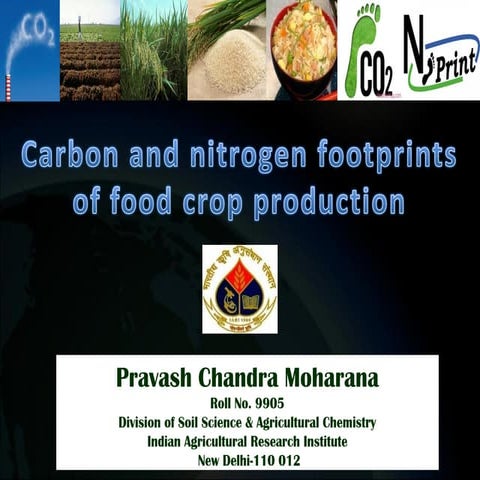 Carbon and nitrogen footprint for food crop production
