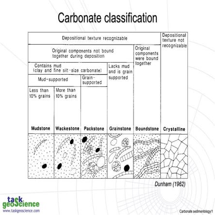 Carbonate lithofacies.ppt