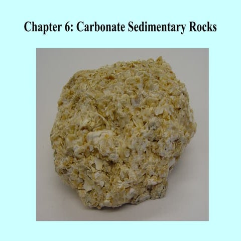 carbonate sedimentary rocks analysis.ppt