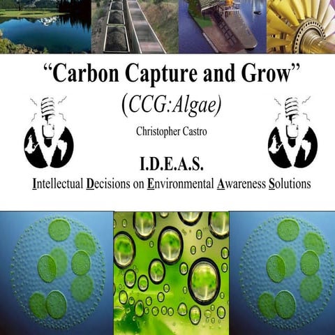 Carbon Capture And Grow Cc Sus Conf.