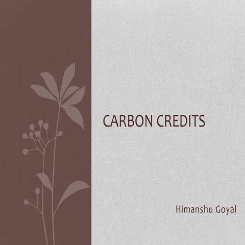 Carbon credits