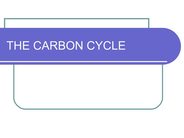 Carbon cycle