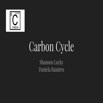 Carbon cycle PERIOD 4