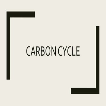 Carbon cycle 