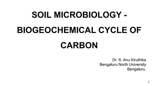 Carbon cycle