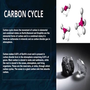 carbon cycle a presentation on geography