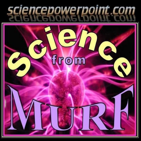 Carbon Cycle Lesson PowerPoint, Biogeochemical Cycles