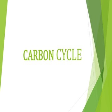 Carbon cycle  