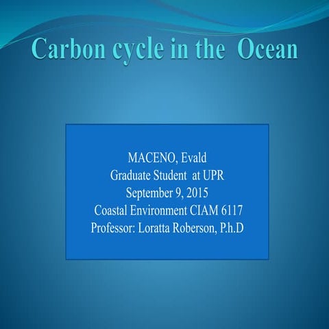Carbon cycle in the ocean discussion