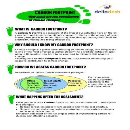 Carbon footprint 1 | PDF