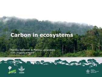 Carbon in ecosystems
